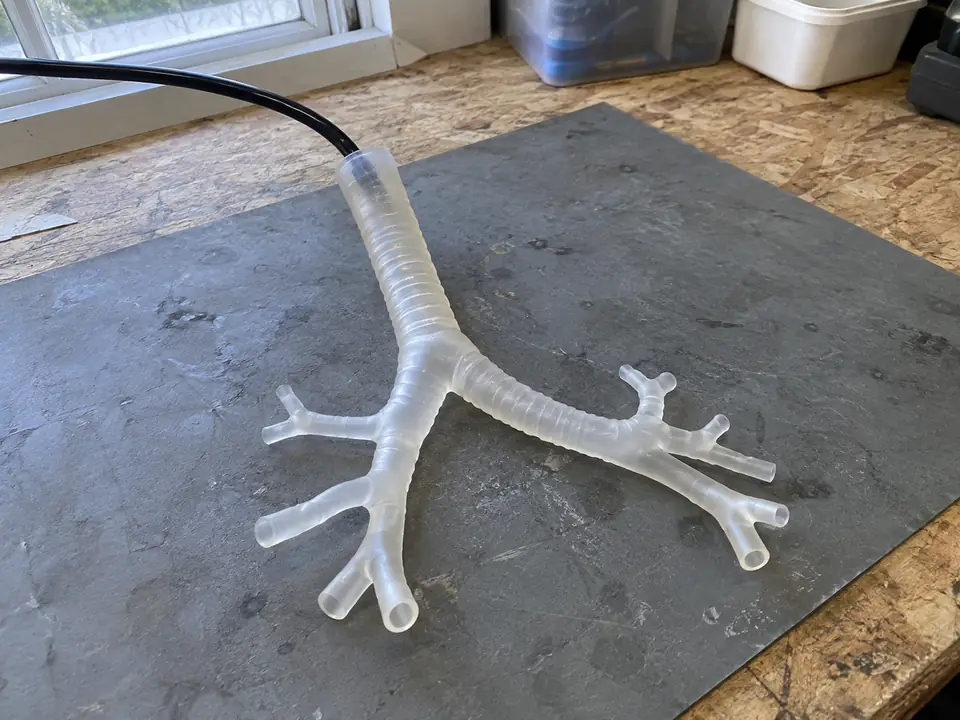 An airway phantom with a flexible scope