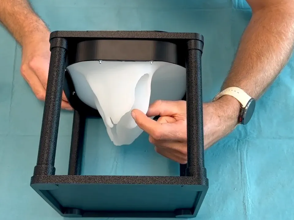From below: a hand at the leaflets through the open frame.
